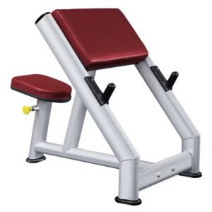 Biceps training bench