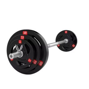 Rubber cast iron barbell plates