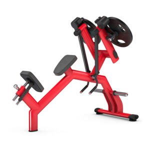 Reverse Fly / Rear Delt Dual