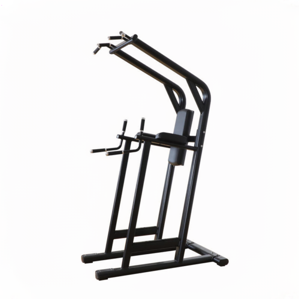 CHIN/DIP/LEG RAISE BENCH
