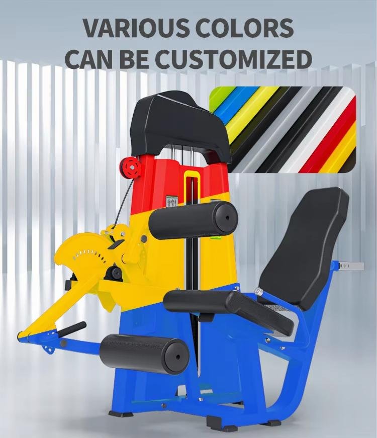 Commercial Leg Extension and Leg Curl Machine detail image 1