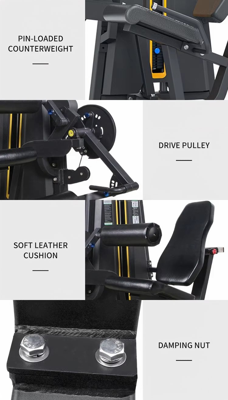 Commercial Leg Extension and Leg Curl Machine detail image 3