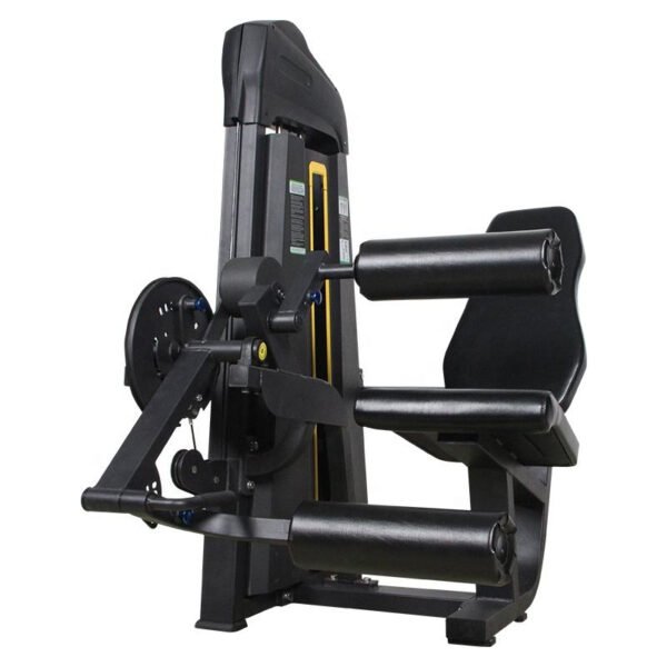 COMMERCIAL LEG EXTENSION AND LEG CURL MACHINE